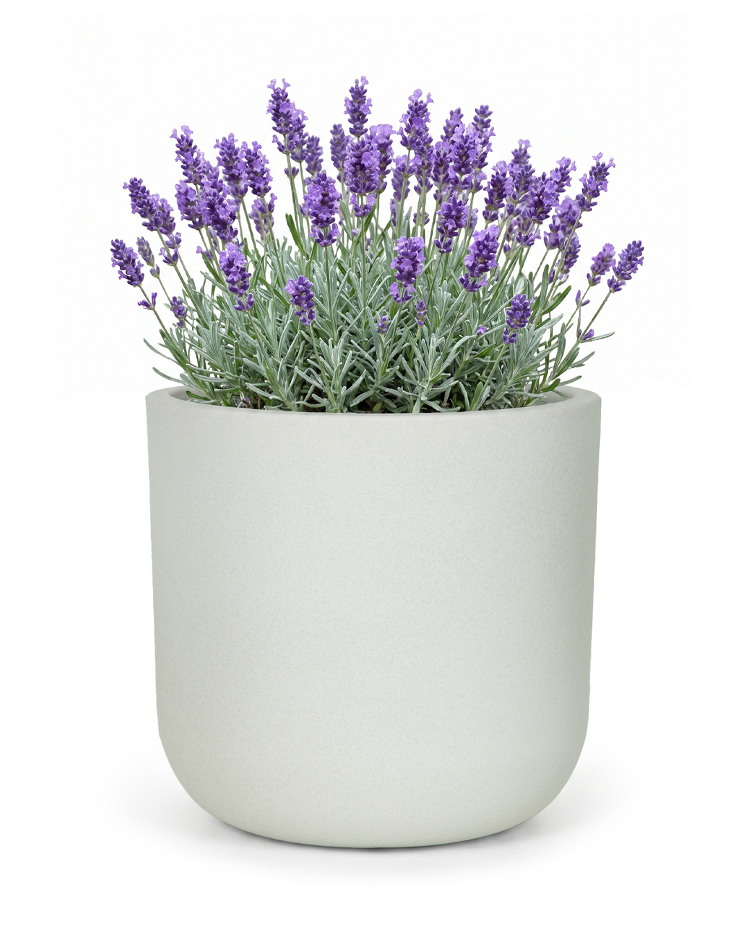 Runder Pflanzkübel aus Kunststoff - Elegante White - hellgrau, matt für Garten und Terrasse