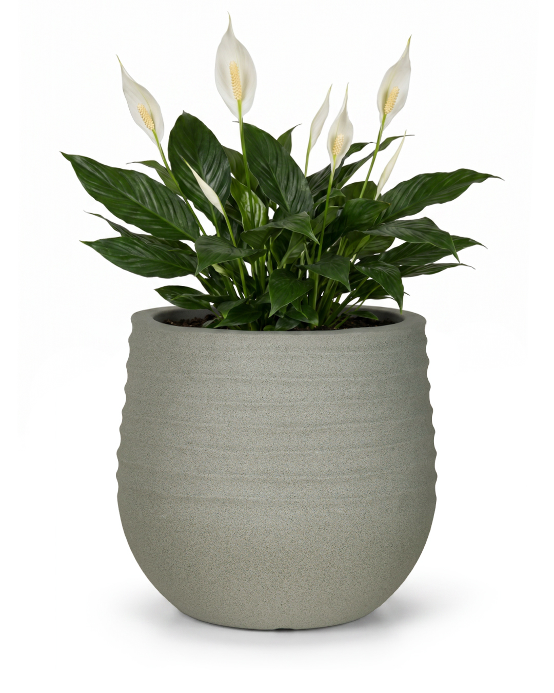 Runder Pflanzkübel aus Kunststoff - Terra Grey - grau, matt, geriffelt, für Garten und Terrasse