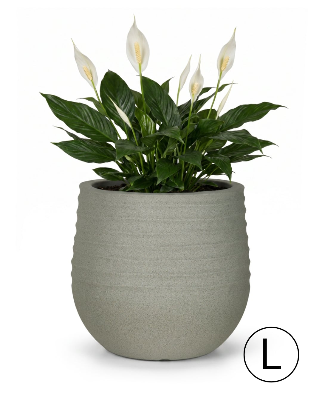 Runder Garten- / Terrassen-Blumentopf 54 cm x 54 cm x 49,5 cm - Terra L - Kunststoff-Blumentopf, grau, matt, geriffelt