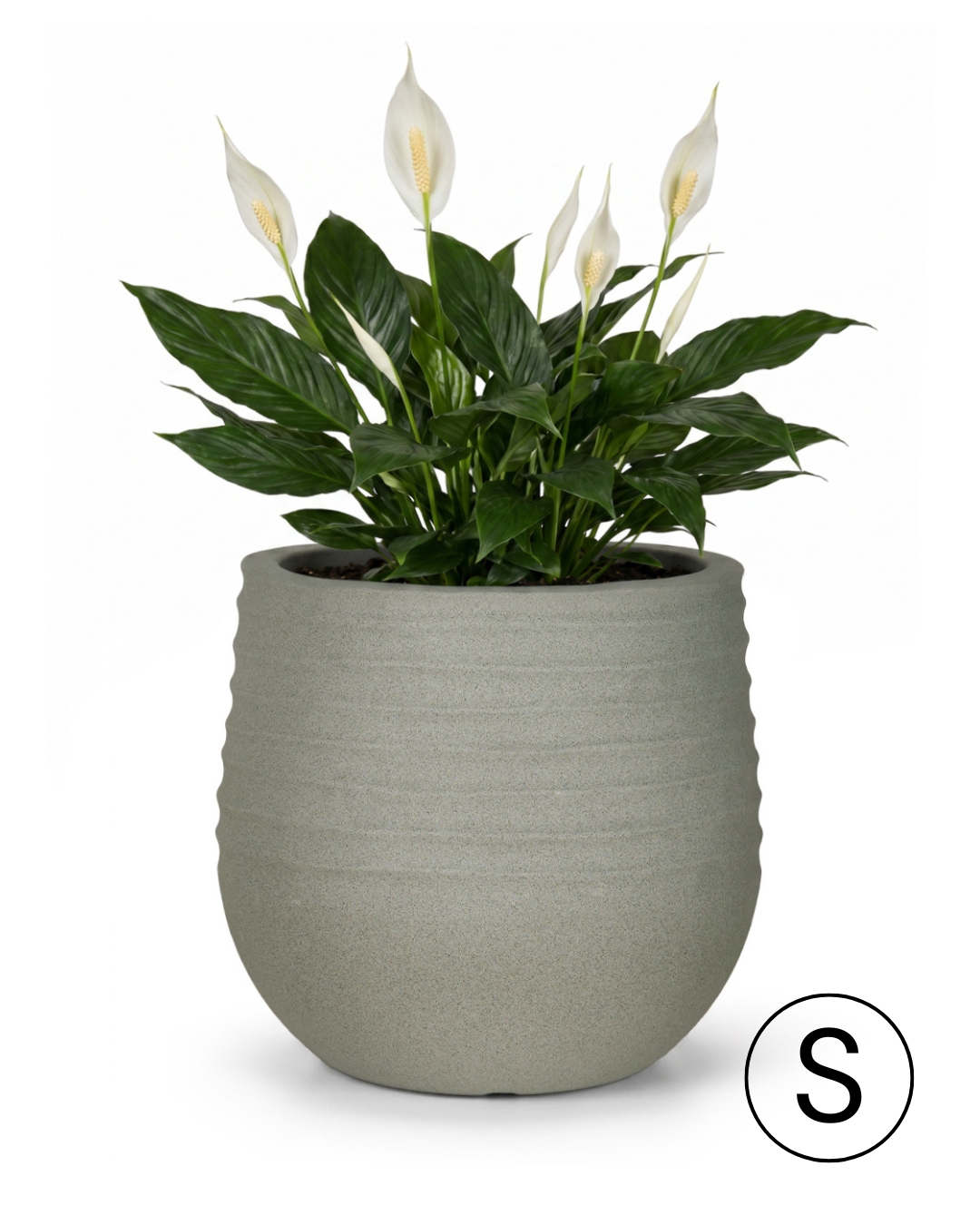 Runder Garten- / Terrassen-Blumentopf 31 cm x 31 cm x 28 cm - Terra S - Kunststoff-Blumentopf, grau, matt, geriffelt